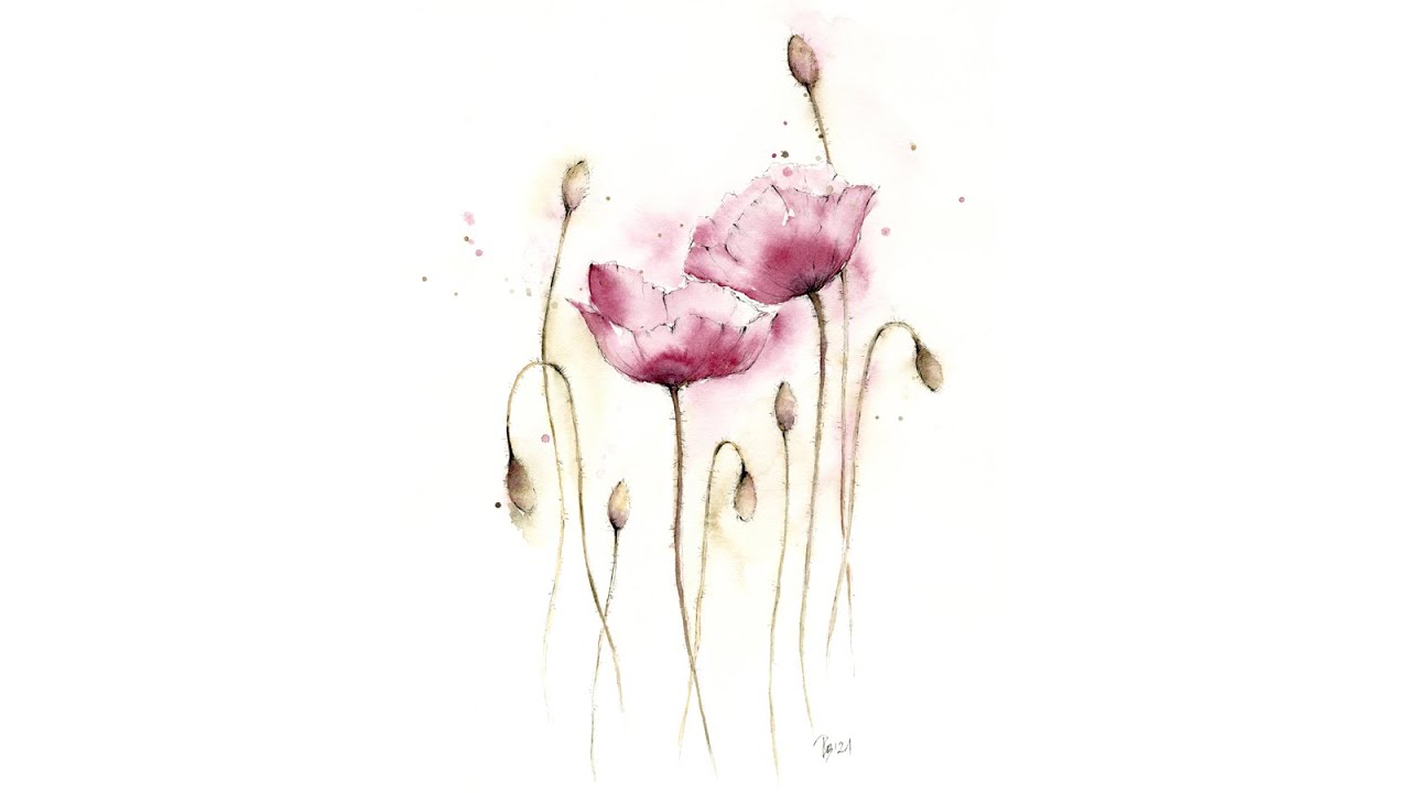 Akwarela, Maki (Poppies)