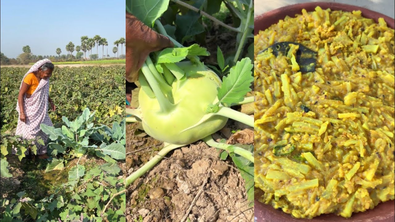 Village Style Moong Dal with Olkopi | Simple & Healthy Bengali Recipe