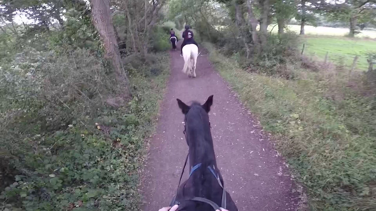 Moody Mare 🤦🏻‍♀️ And Hacking Out With Friends! 🖤 | GOPRO | Jessica Eva
