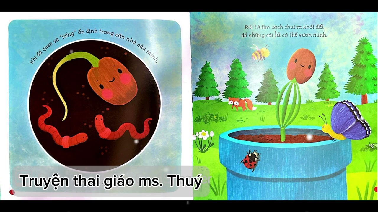 Truyện: Cây thông Giáng sinh bé nhỏ   