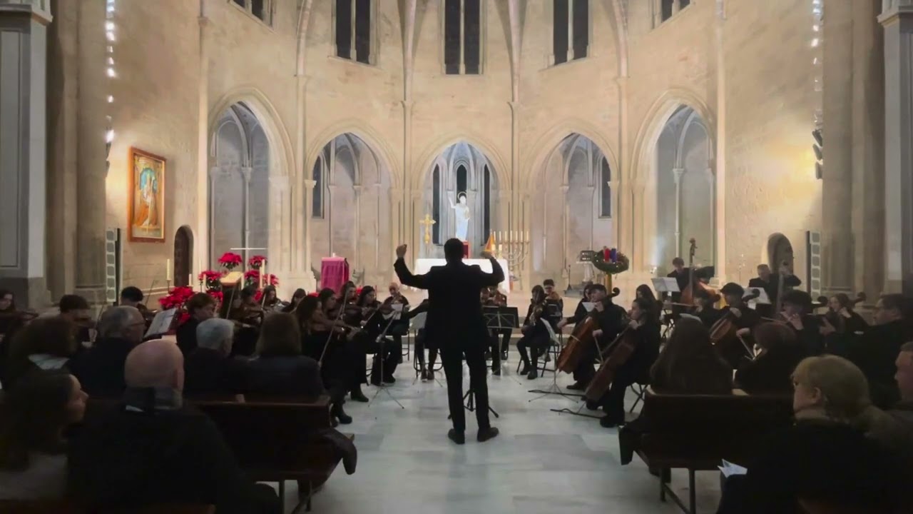 Concert de Nadal 2024 Orquestra AFB