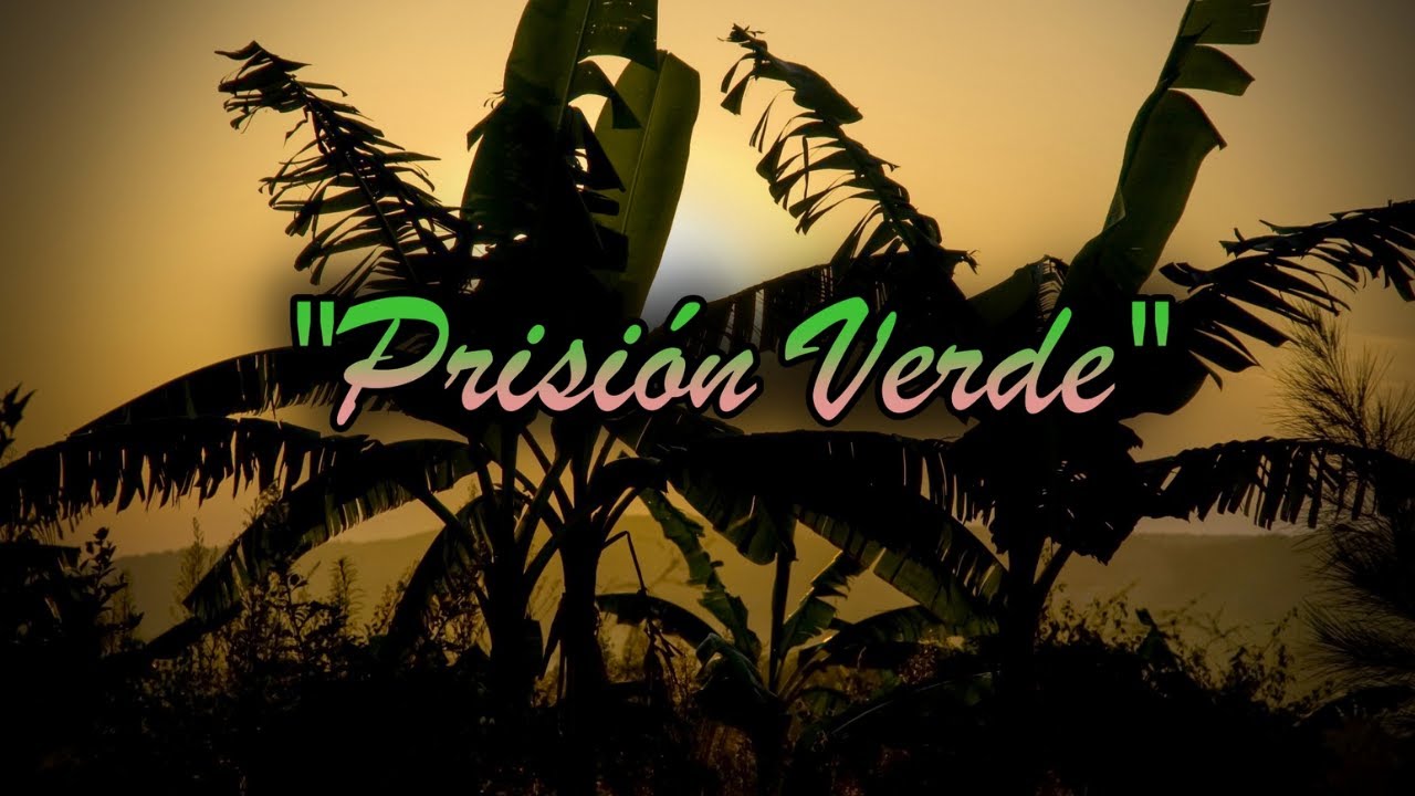 Radionovelas De Honduras - Capítulo 1 📻