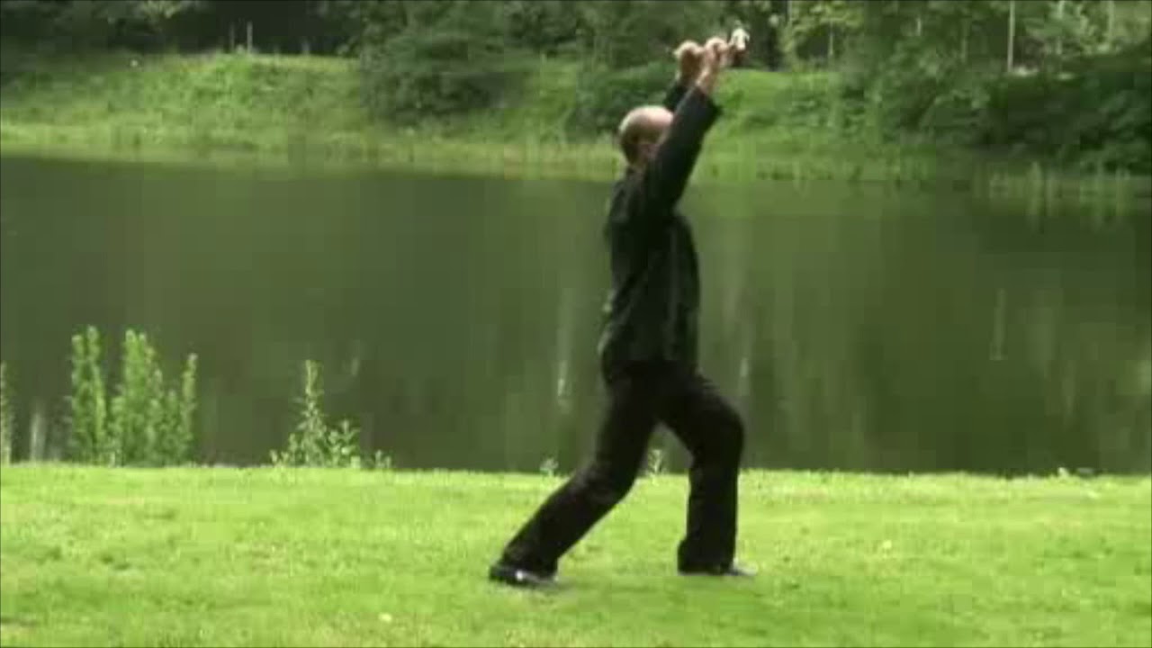 Taichi - Yang Style- 104 long forms short stik - 13 palms ( Lille Arts Martiaux ) ILAM