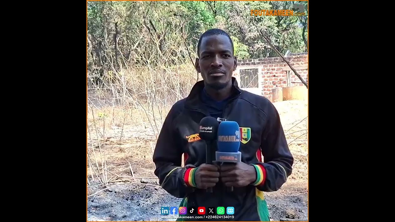 Labé / Nadhel : un champ et une maison brûlés par un feu de brousse d’origine inconnue