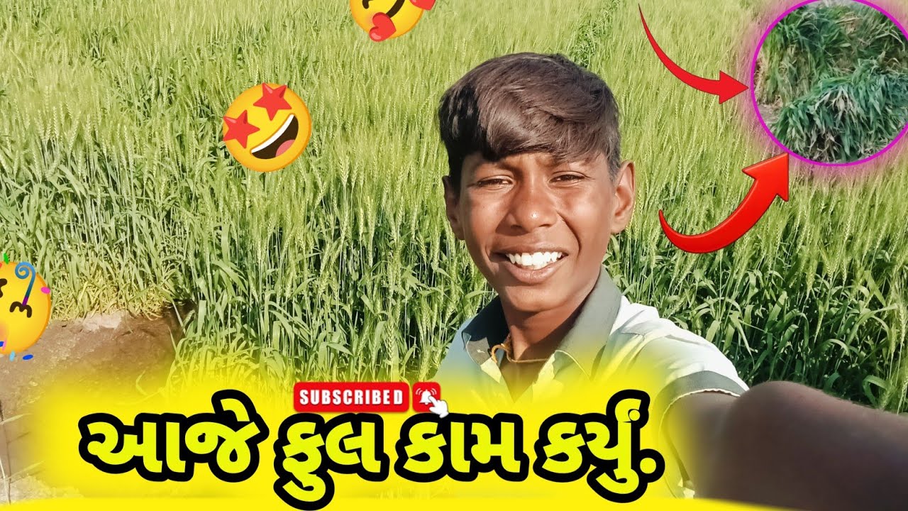 || આજે ફુલ કામ કર્યું.|| Aje Full Kam Karyu.||