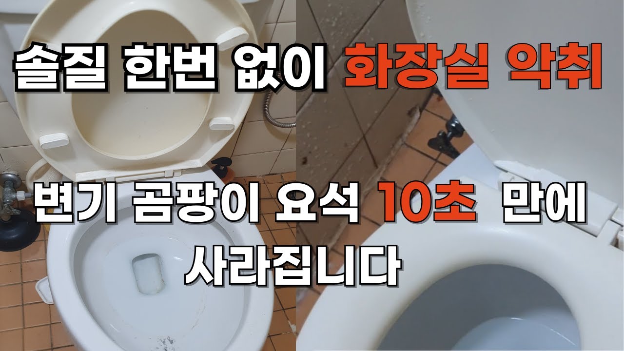 단언컨대 가장 확실한 방법입니다. 락스 없이 변기 요석 10초 만에 박멸하는 비법
