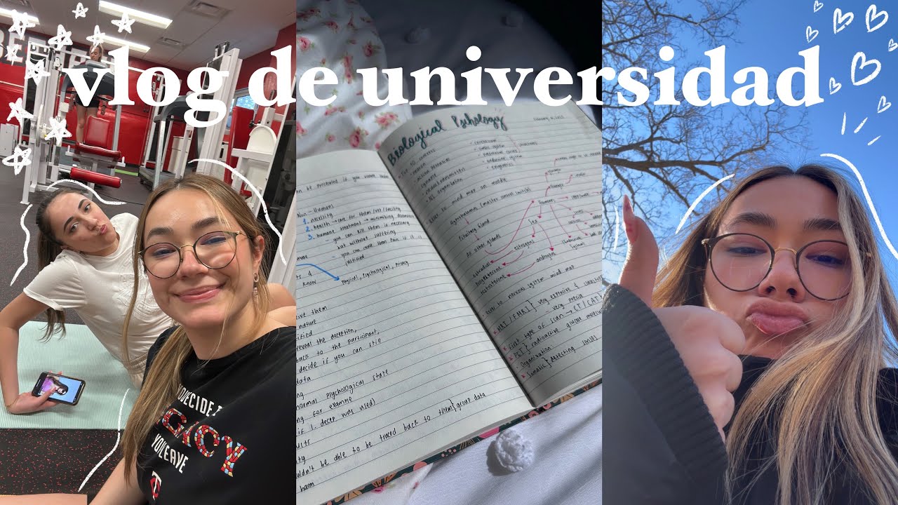 ASÍ ES LA UNIVERSIDAD EN ESTADOS UNIDOS 🇺🇸