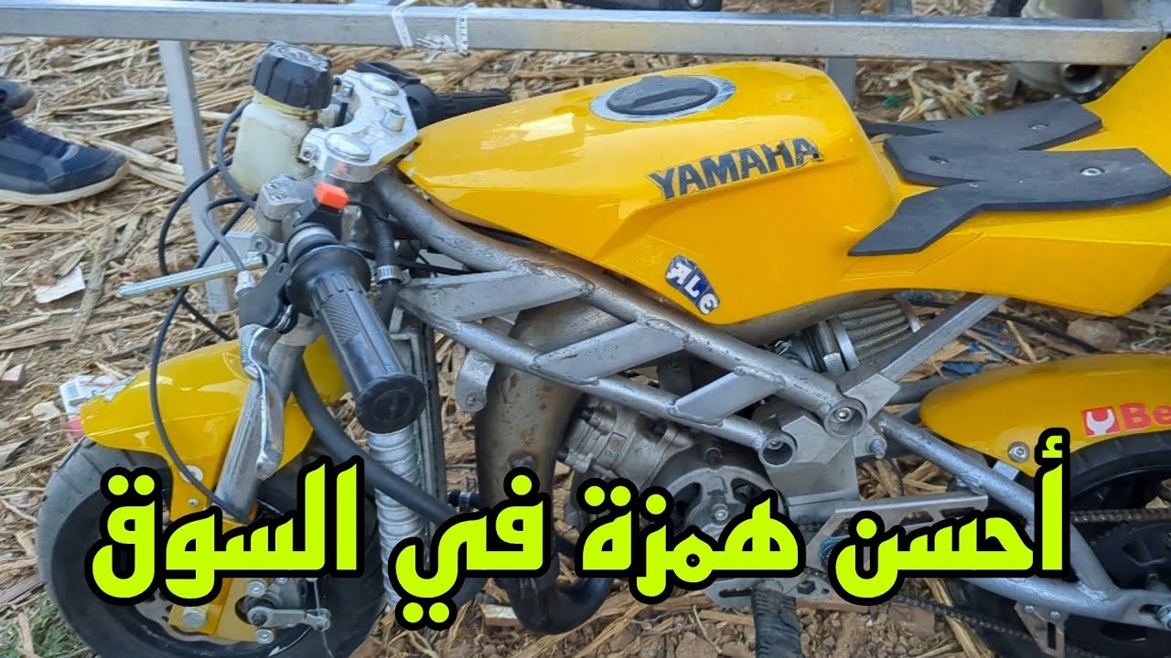 سوق الطليان 🇮🇹🇮🇹 الخميس أولاد موسى #أحسن_همزة ديال سوق