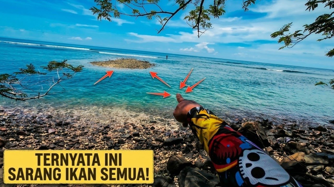 Surga kecil yang tersembunyi di balik pulau lembe ini adalah tempat bermain nya ikan ikan kecil