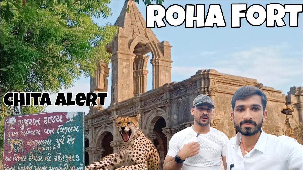 Roha Fort ll Kutch Gujarat ll🐯🐾 #roha Fort