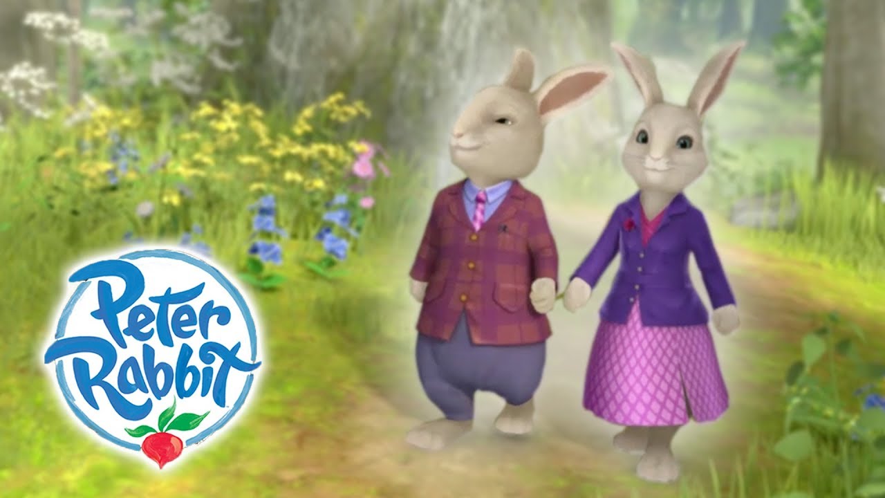 Peter Rabbit - Parents Day | Curious Bunnies | Cartoons for Kids
