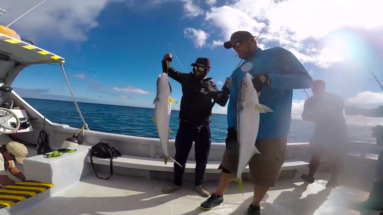 Pesca de Vidriolas, Isla Robinson Crusoe/ Yellowtail Kingfish fishing in jigging & popping/ Spinrock