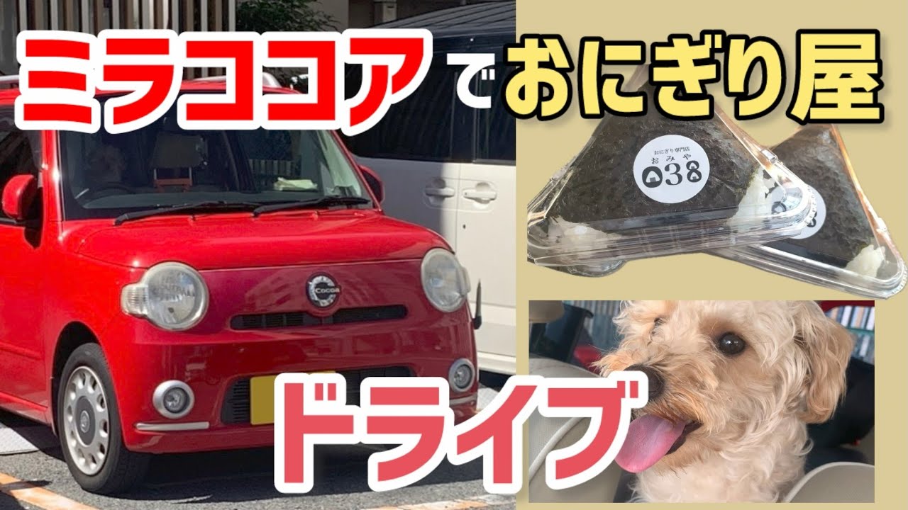 【12.9万円 ダイハツ ミラココア】おにぎりを食べにワンちゃんと家族ドライブ！大阪の道の駅にも寄るよ「犬と一緒にお出かけシリーズ②」