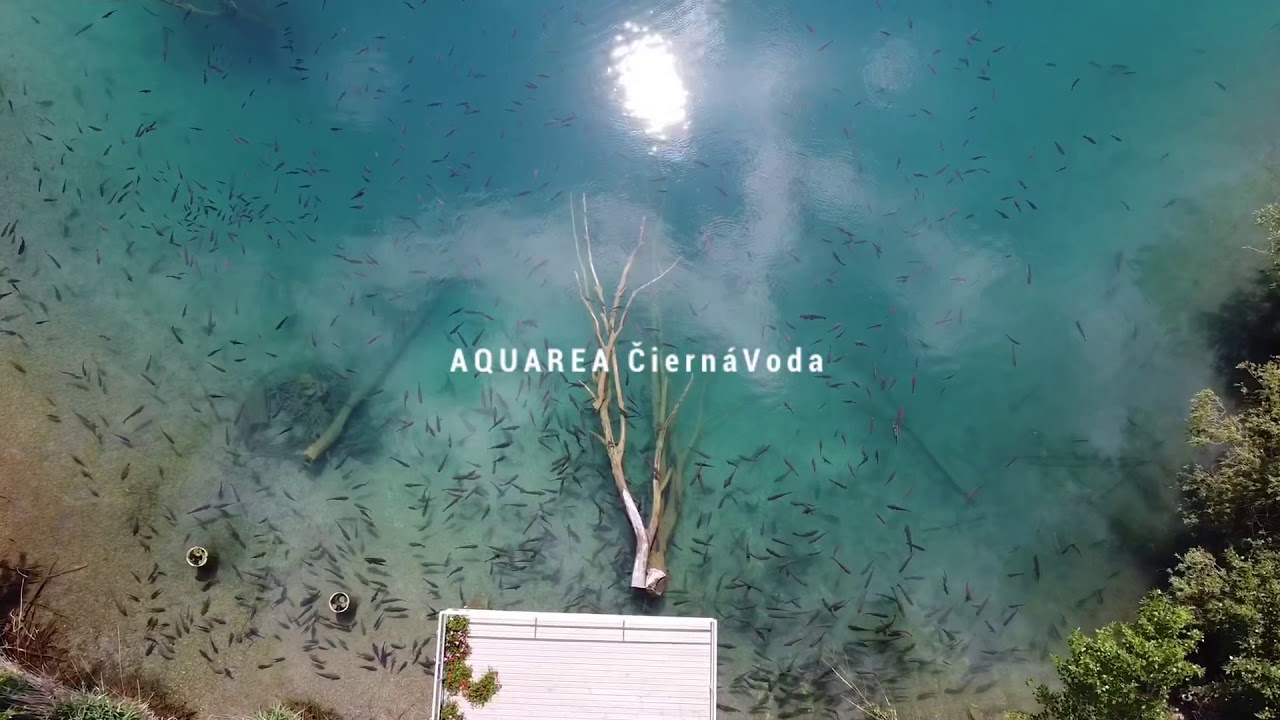 Aquarea Čierna voda
