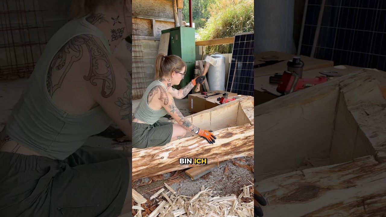 XXL Bierk&uuml;hler aus Baumstamm?🫣 #baum #diy #baumstamm #hochlandrind #bierk&uuml;hler