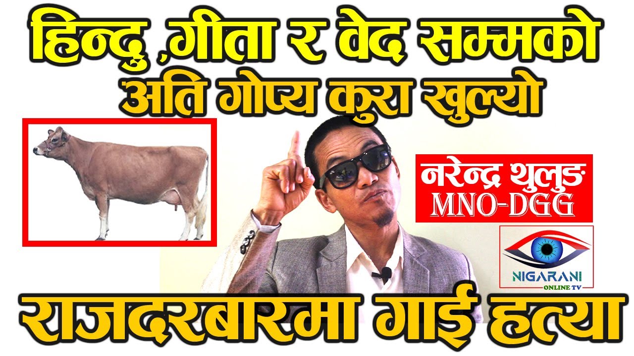 अति गोप्य कुरा खुल्यो, राजदरवारमा गाई हत्या, Narendra Thulung Mulbasi Mongol Nigarani onine tv live