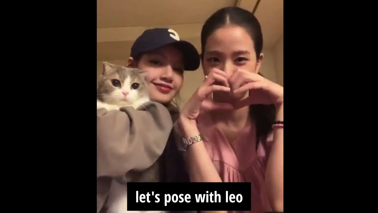 [Eng Sub] Blackpink 6th Anniversary Live Weverse