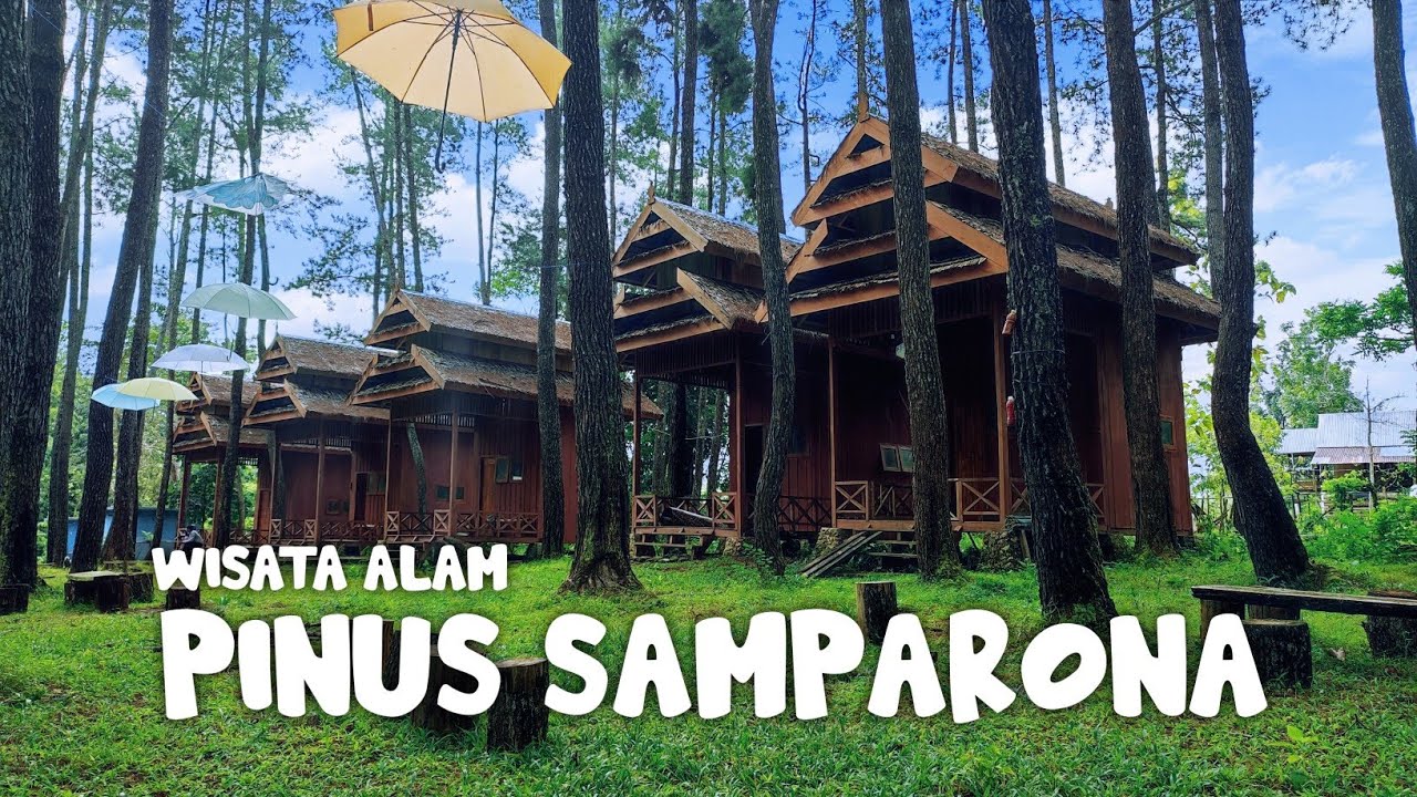 Wisata Alam Pinus Samparona - Luvtrip #southeastsulawesi #pariwisata #baubau