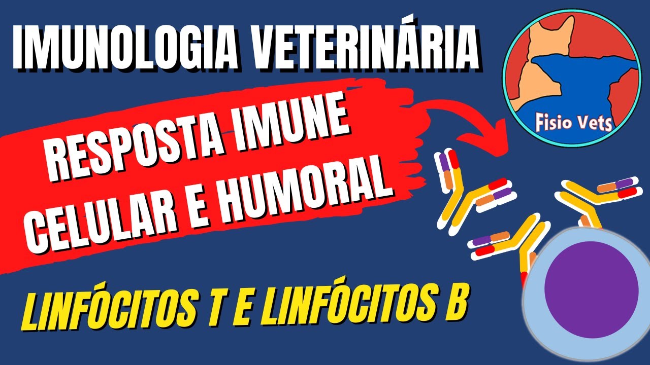 Resposta imune adaptativa - Humoral e celular - Imunologia veterinária