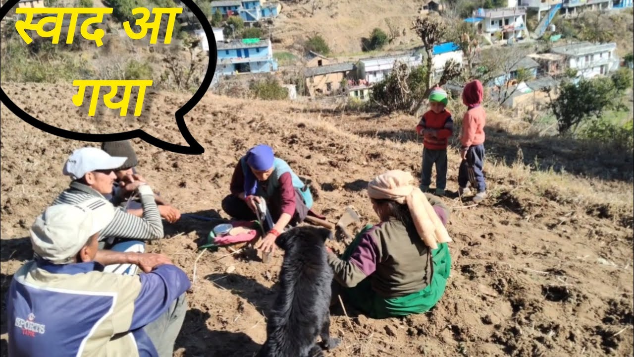 खेतों में खाने का अलग ही आनंद है 