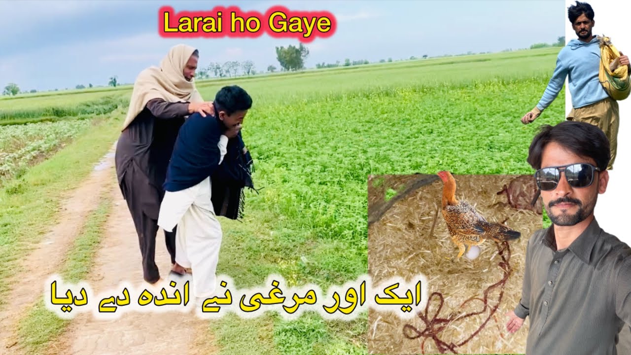 Larai ho Gaye😡ak or murgi na inda dy deya