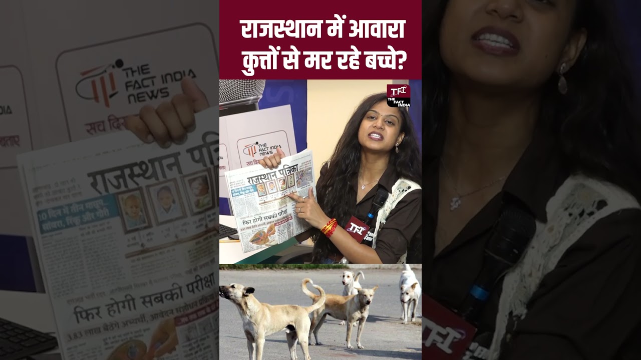 Rajasthan में अवारा कुत्तों से मर रहे बच्चें? | Rajasthan Viral Video | Rajasthan Viral News | TFI |
