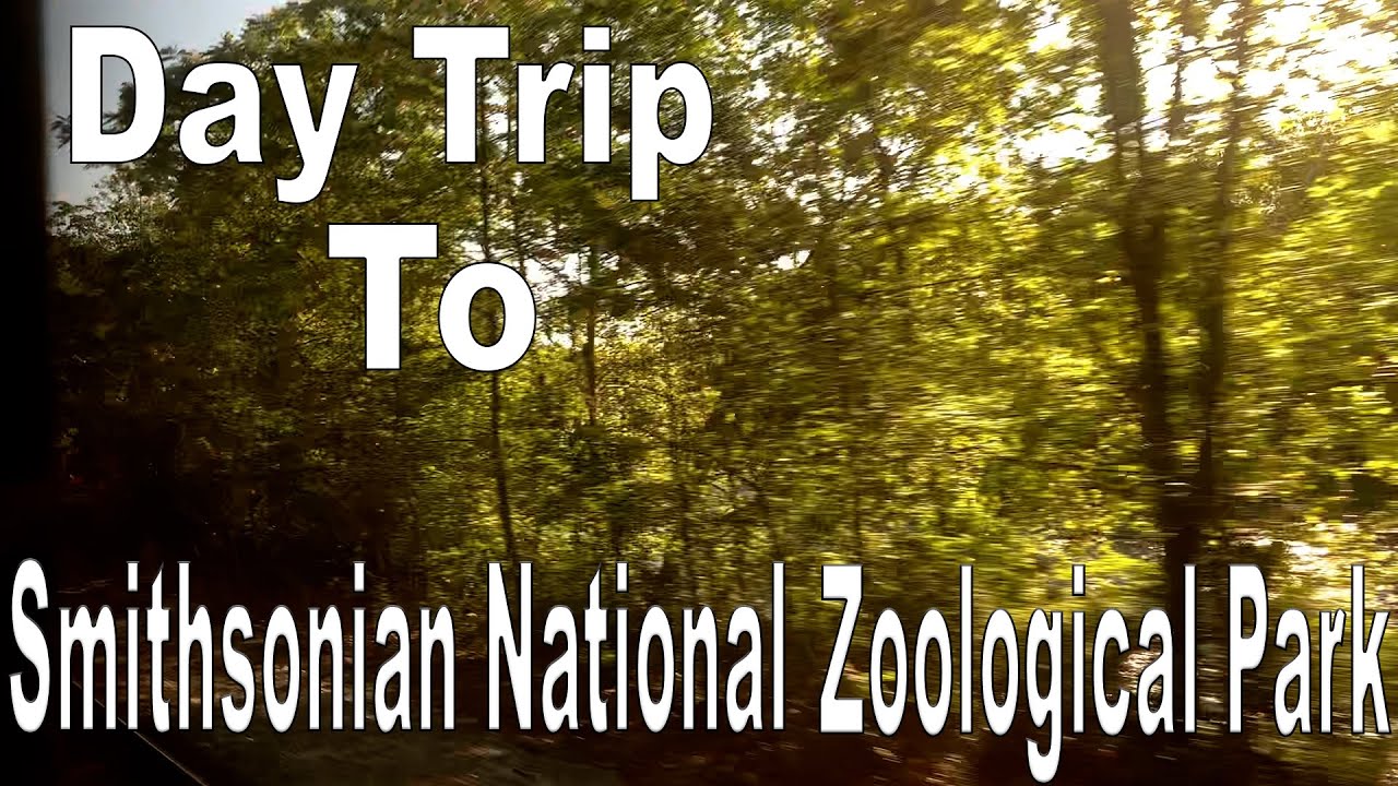Day Trip to Smithsonian National Zoological Park