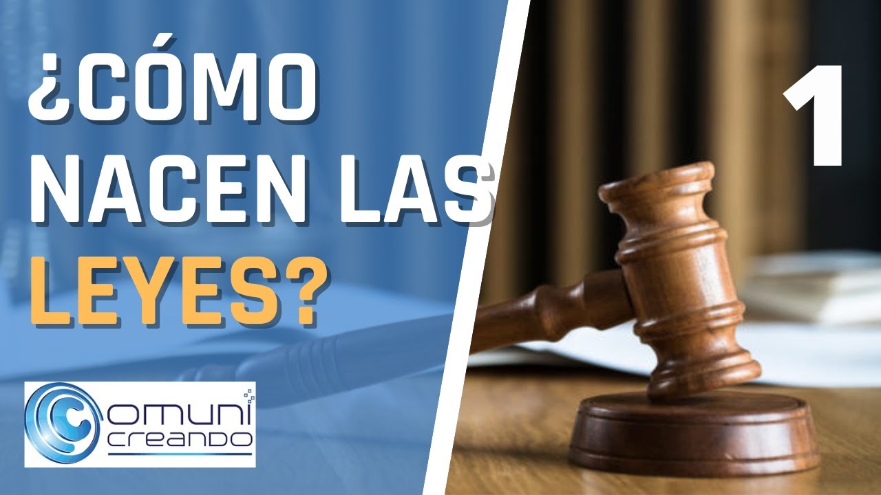 ¿CÓMO NACEN LAS LEYES? PRIMERA PARTE