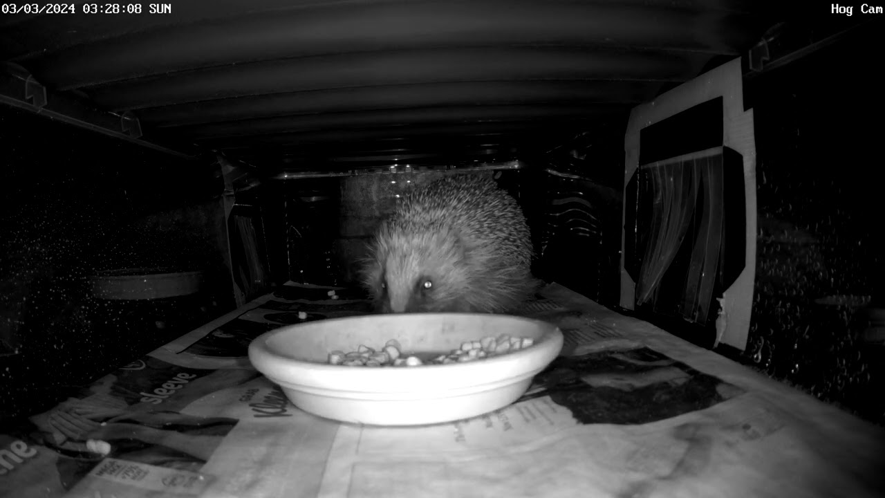 Where&rsquo;s my favourite Snarfle ?