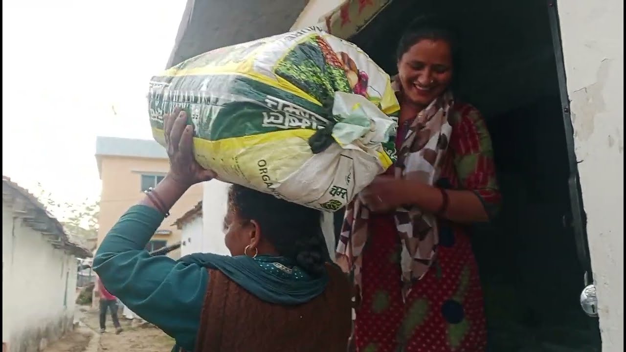 ताई जी ले गई dwari इतने सारे गेहूं पीसने के लिए। पहाड़ी नींबू की बनाई खटाई 🤤