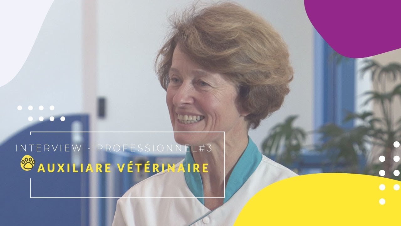 Formation Auxiliaire V&eacute;t&eacute;rinaire | Docteur Parent, V&eacute;t&eacute;rinaire | Partie #3