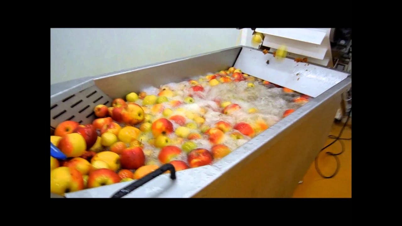 Tecnifruits -  Ligne automatique pour jus de pommes 3000 kg / heure