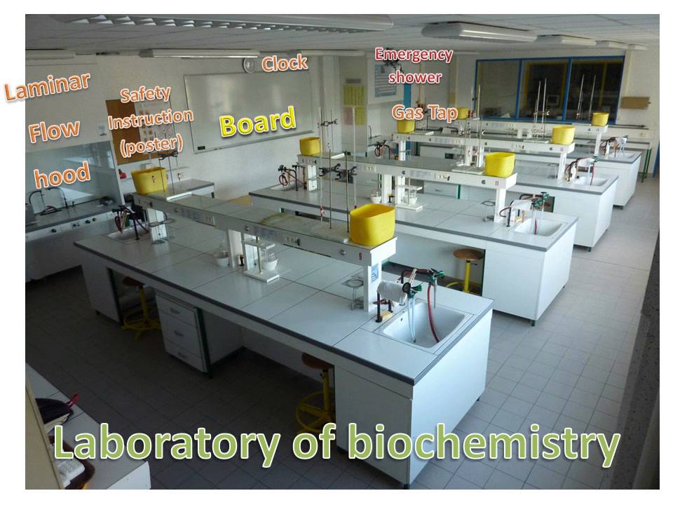 correction lab picture to label