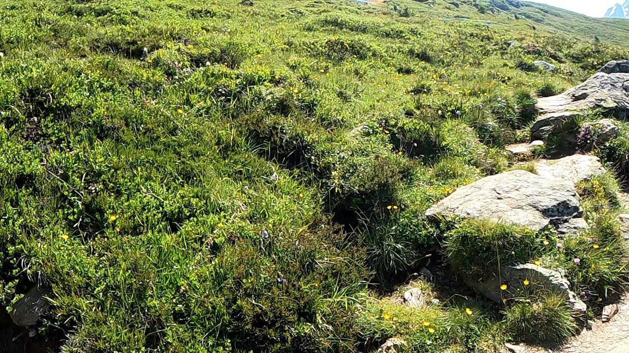 Zazzl - Wandern in Südtirol: Highlight Weißkugelhütte 2