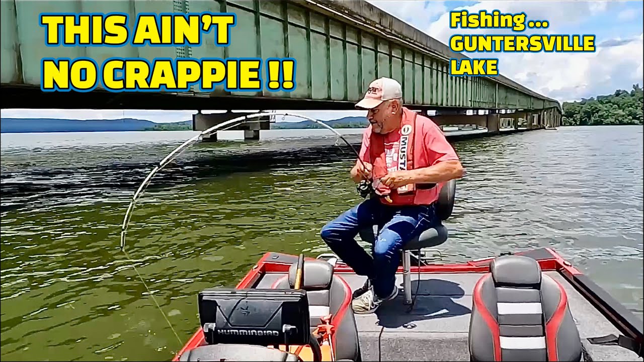 Catch MULTIPLE SPECIES of FISH using this BAIT fishing BRIDGES !!