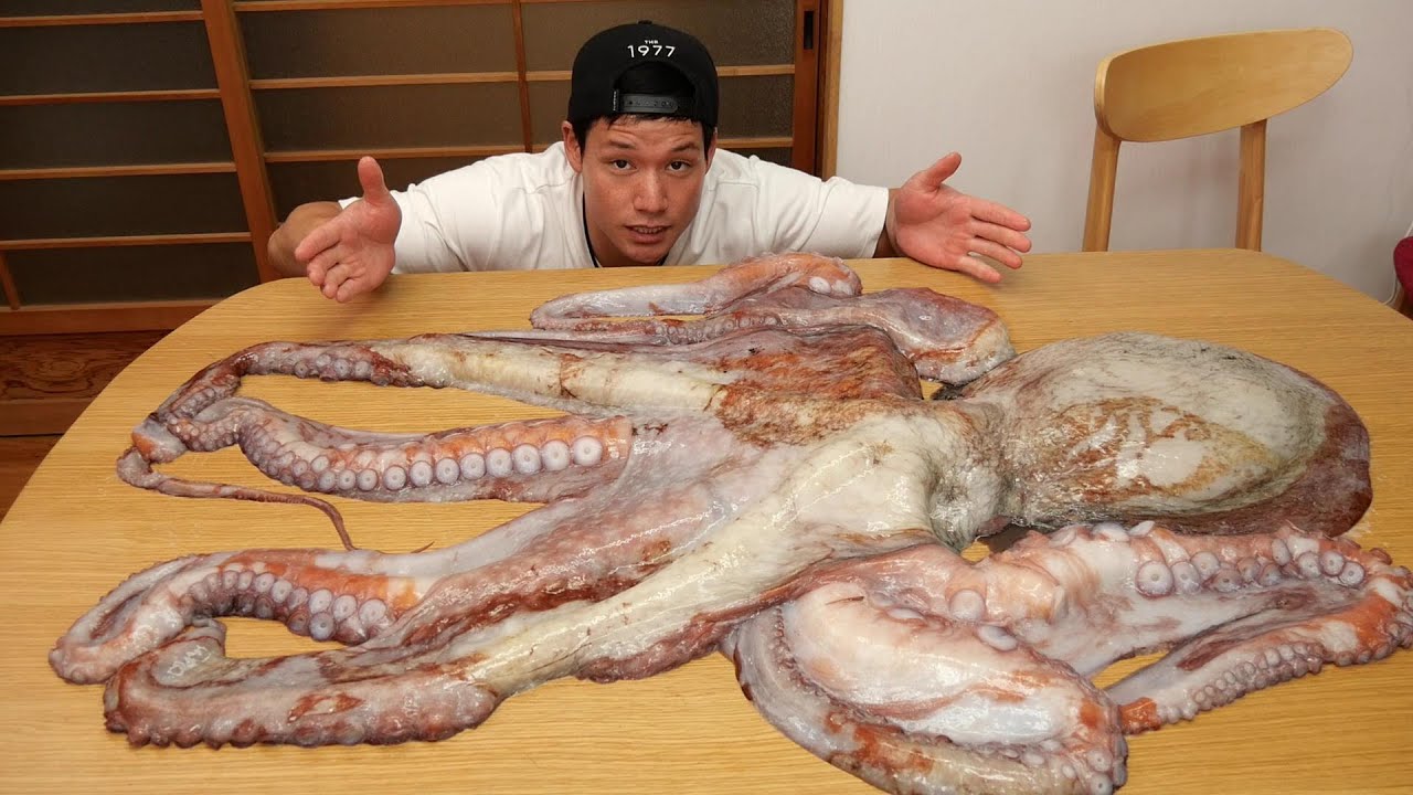 人間も襲う10キロ超の怪物タコをたこ焼きにしてみた