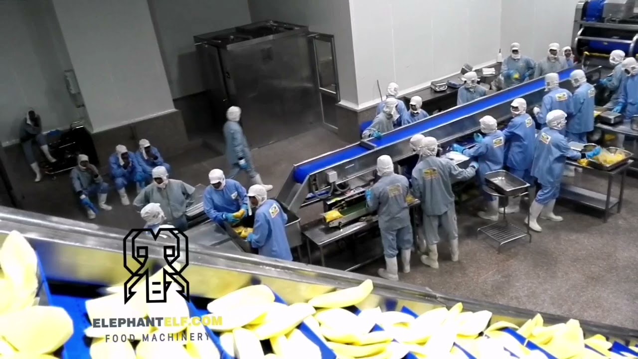 Fluidized Bed Freezer of frozen mango processing line