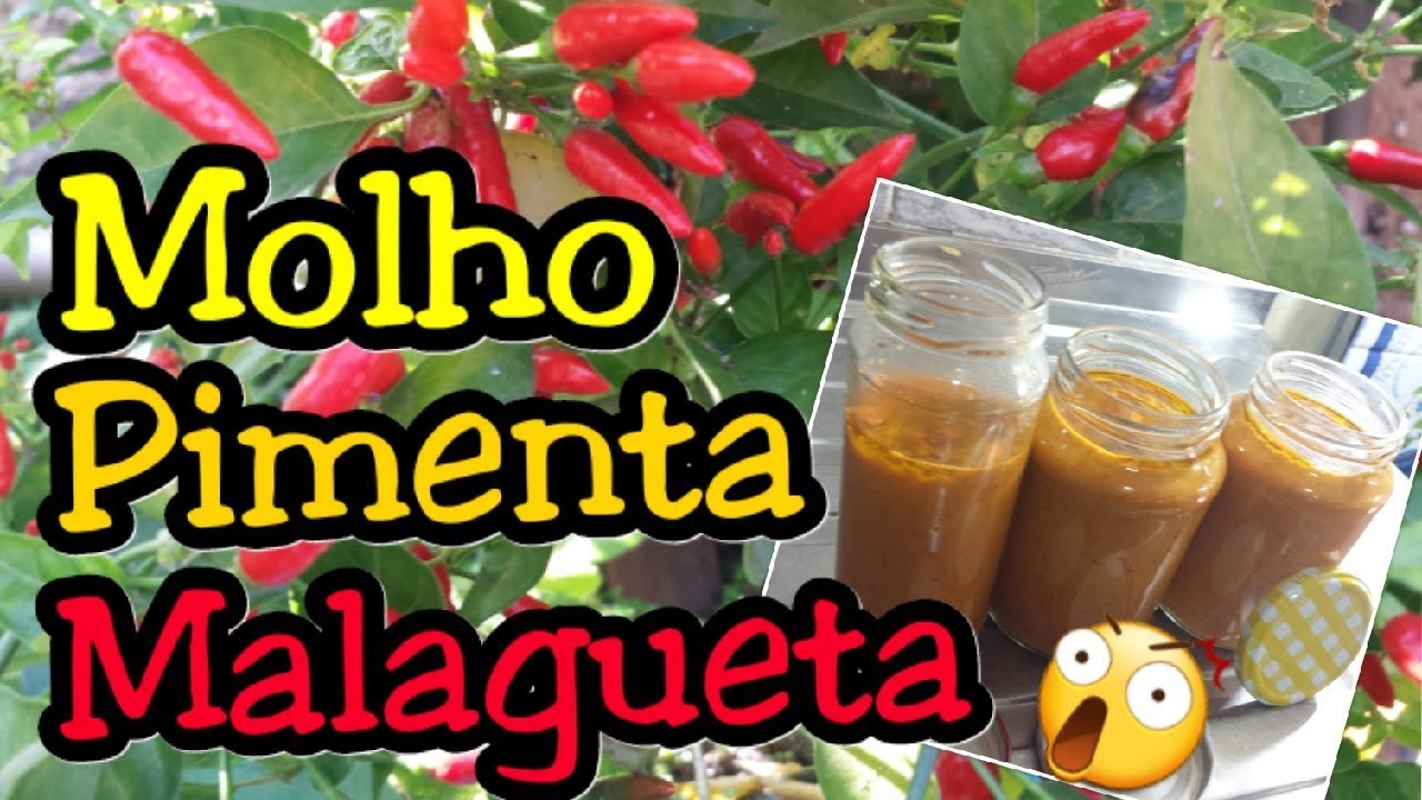 MOLHO DE PIMENTA MALAGUETA SUPER SABOROSO - Pimenta da Aquaponia Coyote