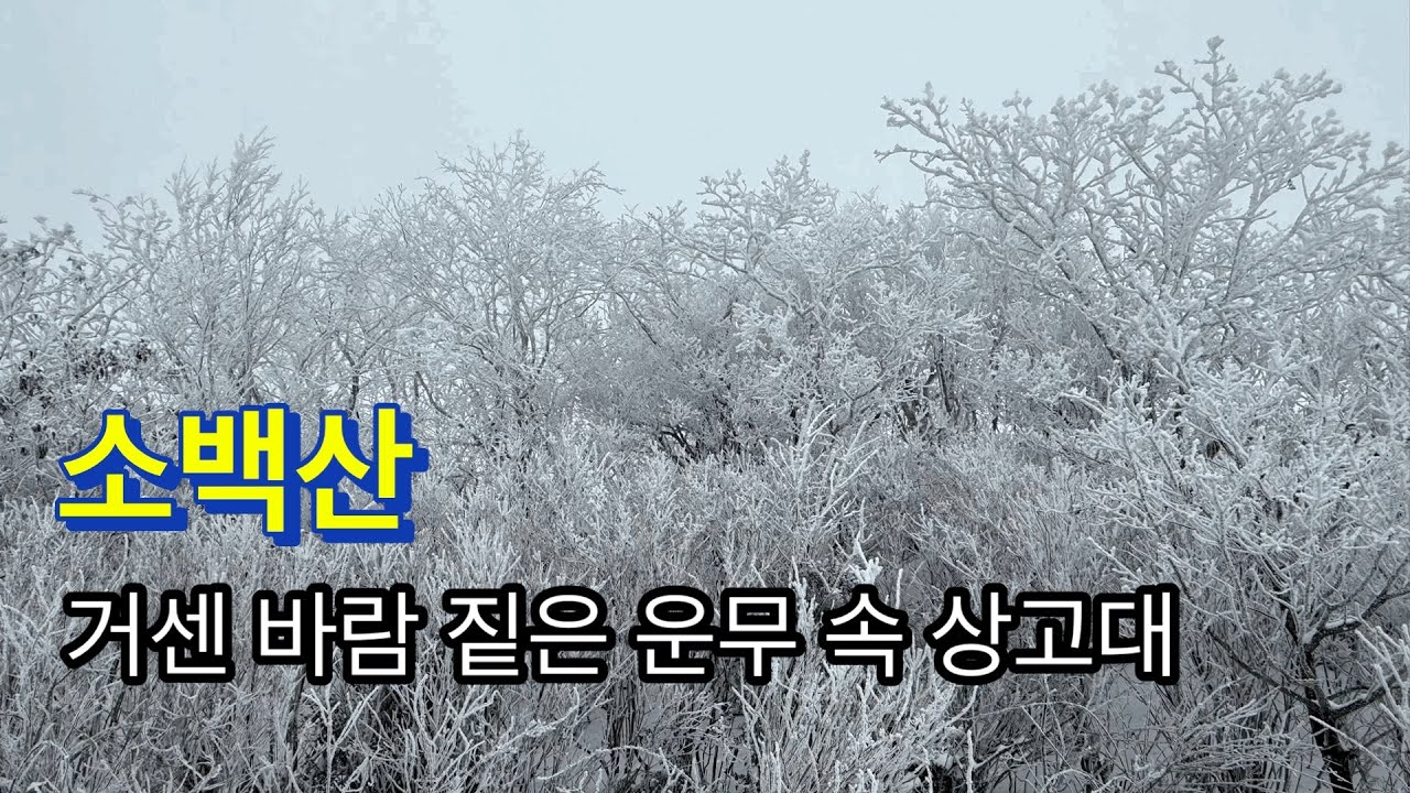 251214 / 소백산 / 거센 바람 짙은 운무 속 상고대 / 죽령주차장-제2연화봉-소백산천문대-연화봉-소백산천문대-제2연화봉대피소-죽령주차장 