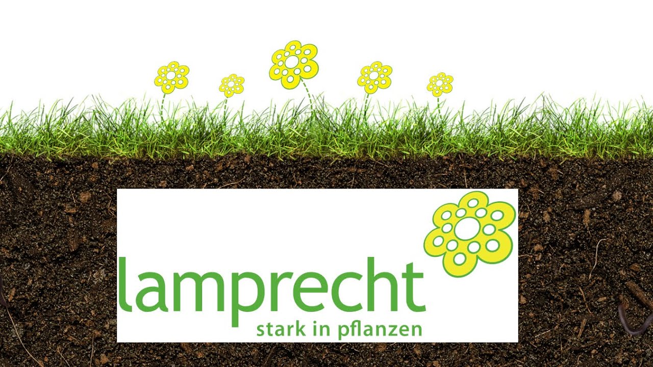 🌿 Lamprecht Pflanzen AG &ndash; Zierpflanzen aus Leidenschaft
