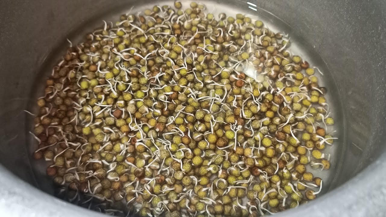 Kala Vatana Sabji.......Mummy & Varsha's Recipe is live!