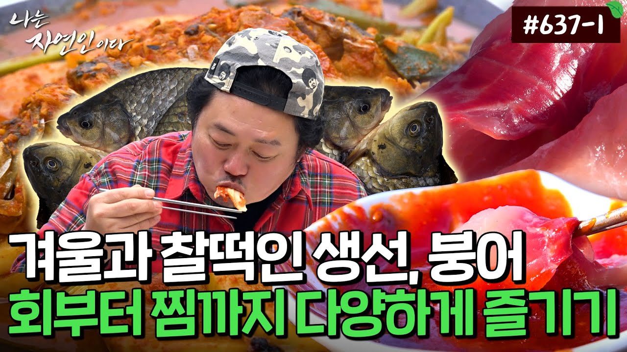겨울이라 더 기름지다! 붕어회부터 황금 레시피 붕어찜까지~｜자연인 다시보기 637-1
