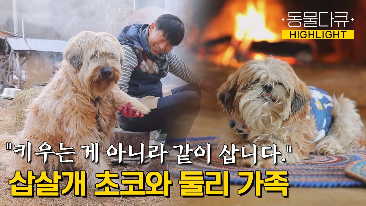 [동물극장 유튜브 오리지널] 