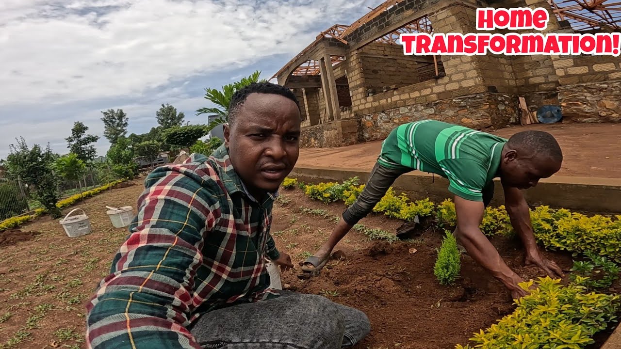 Beautification Of Our Dream Home!! 🌸Thank You @iammarwa For Business Opportunity! 