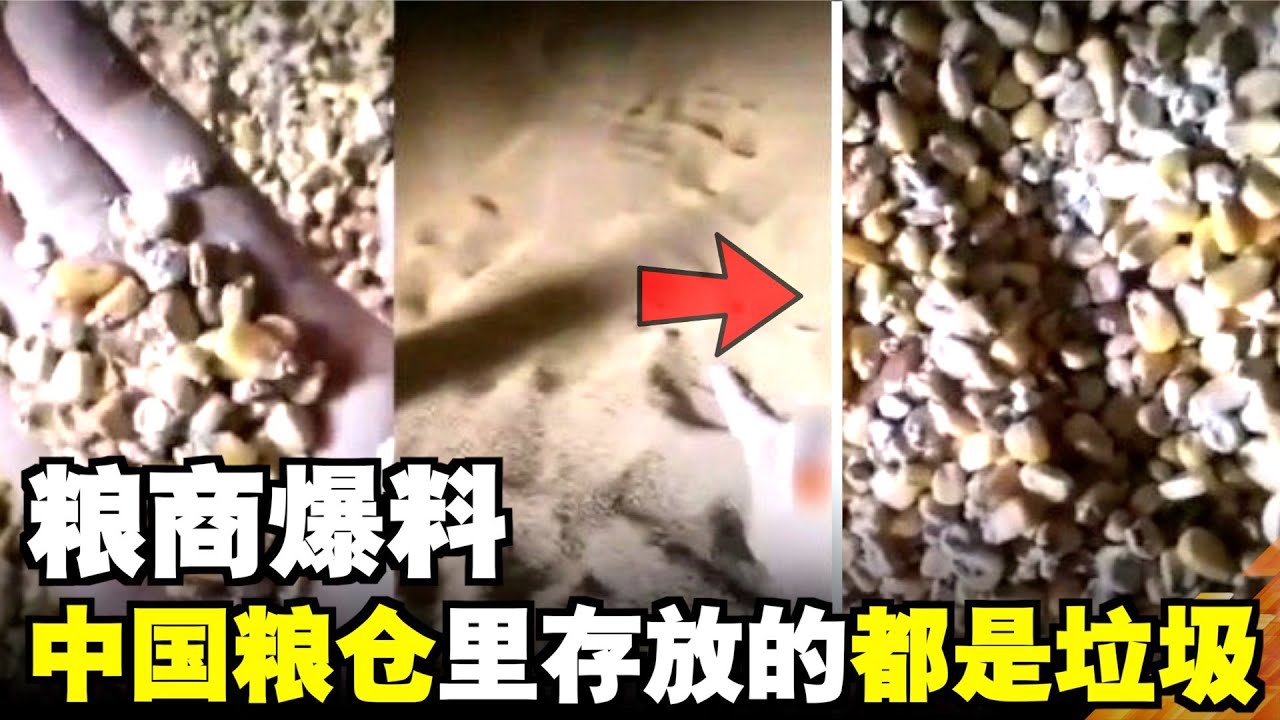粮商爆料：中国粮仓里存放的都是垃圾－精华頻道