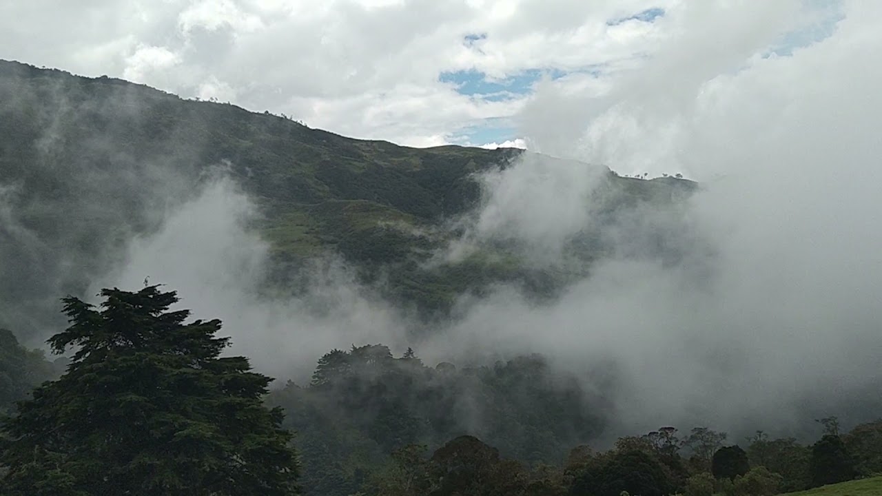 PREDIOS DE CONSERVACI&Oacute;N ART&Iacute;CULO 111 LEY 99 DE 1993