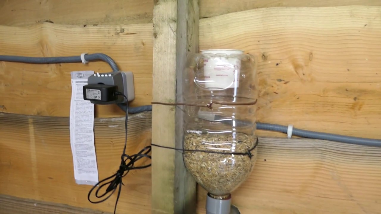 distributeur automatique  grain poules