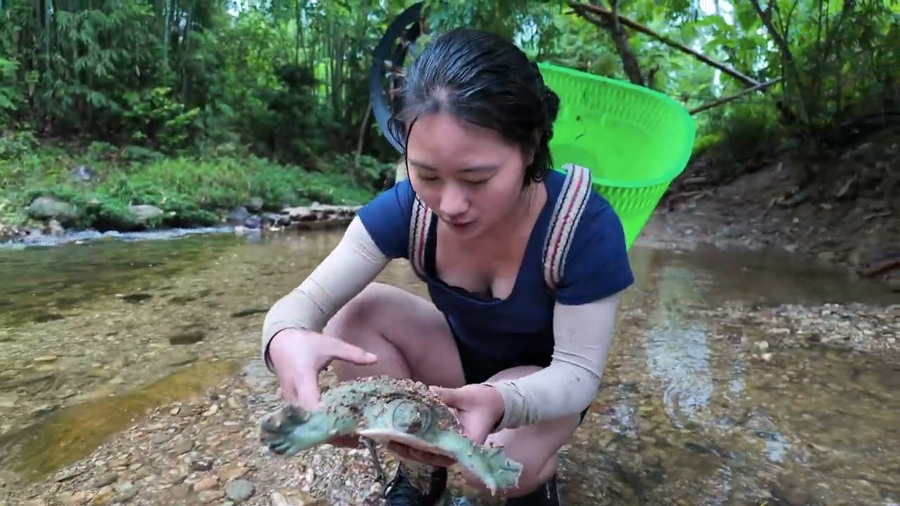 Harvesting Many Wild Softshell Turtles and Their Eggs & Goes to Market Sell–Life Deep in the Forest