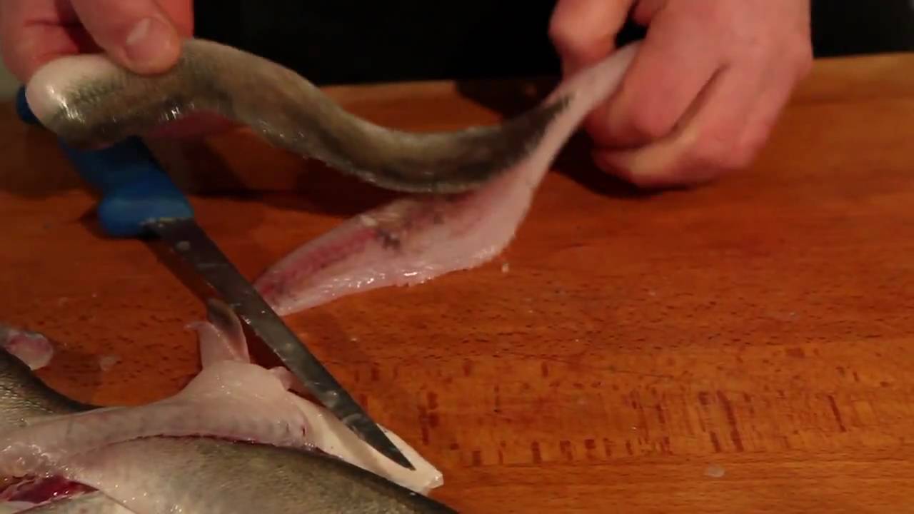 Filéa gös och annan rundfisk