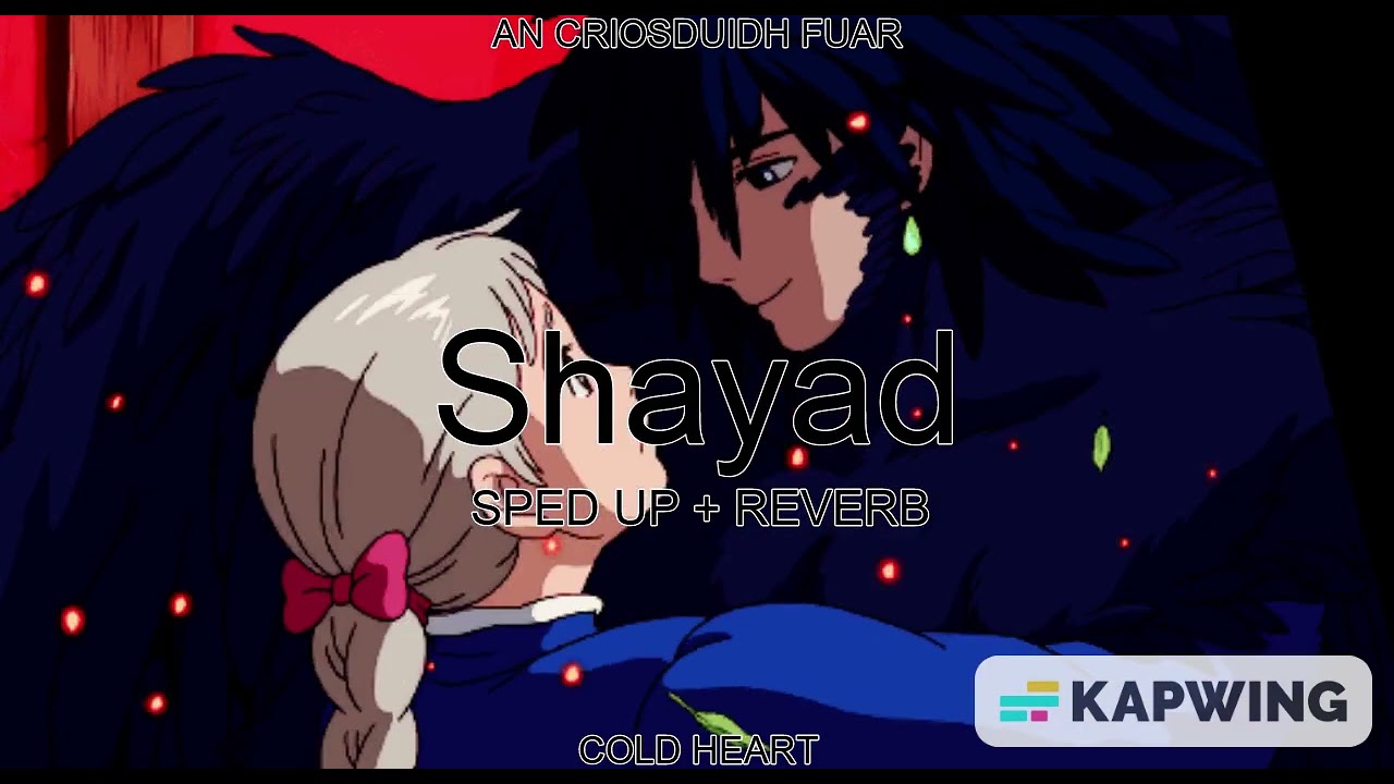 Shayad (SPED UP + REVERB) | Arijit Singh | AN CRIOSDUIDH FUAR AKA COLD HEART